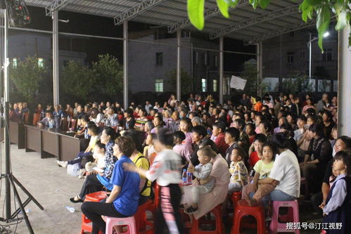 文藝惠民展新風，志愿服務暖人心——福建武平縣新時代文明實踐活動紀實