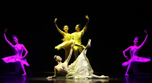 以美育人，以文化人 遼寧芭蕾舞團(tuán)專場(chǎng)演出點(diǎn)亮寧夏大學(xué)新華學(xué)院藝術(shù)星空