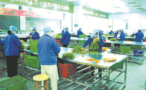 從田間到餐桌 優質農副產品直供香港的橋梁與機遇